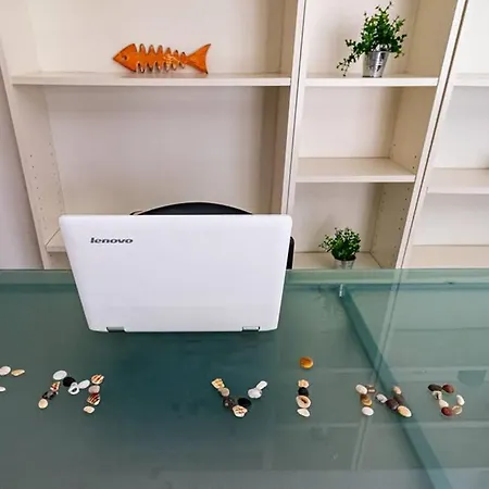 The Surfer's House Apartment